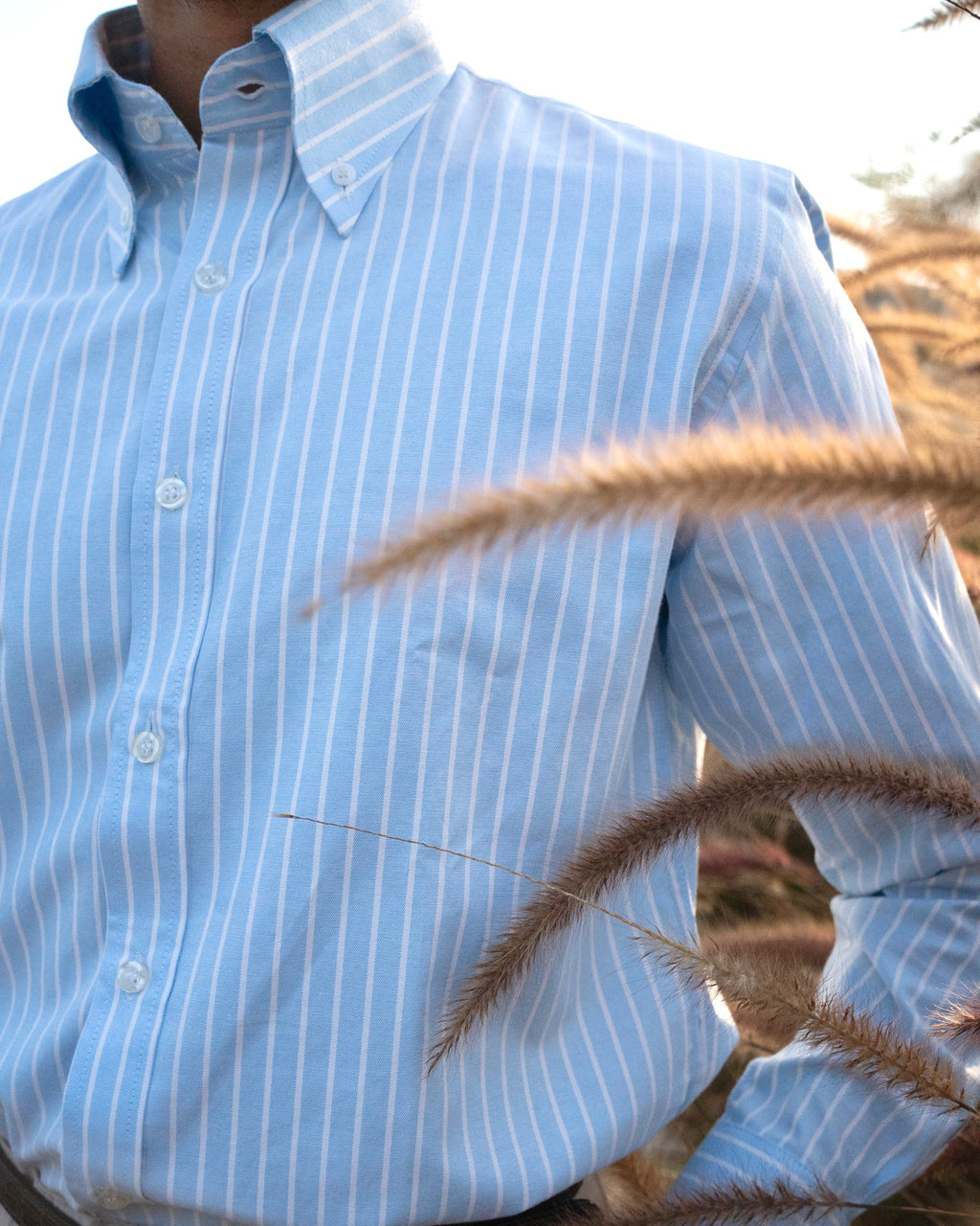 Serene Blue Stripe Oxford Shirt