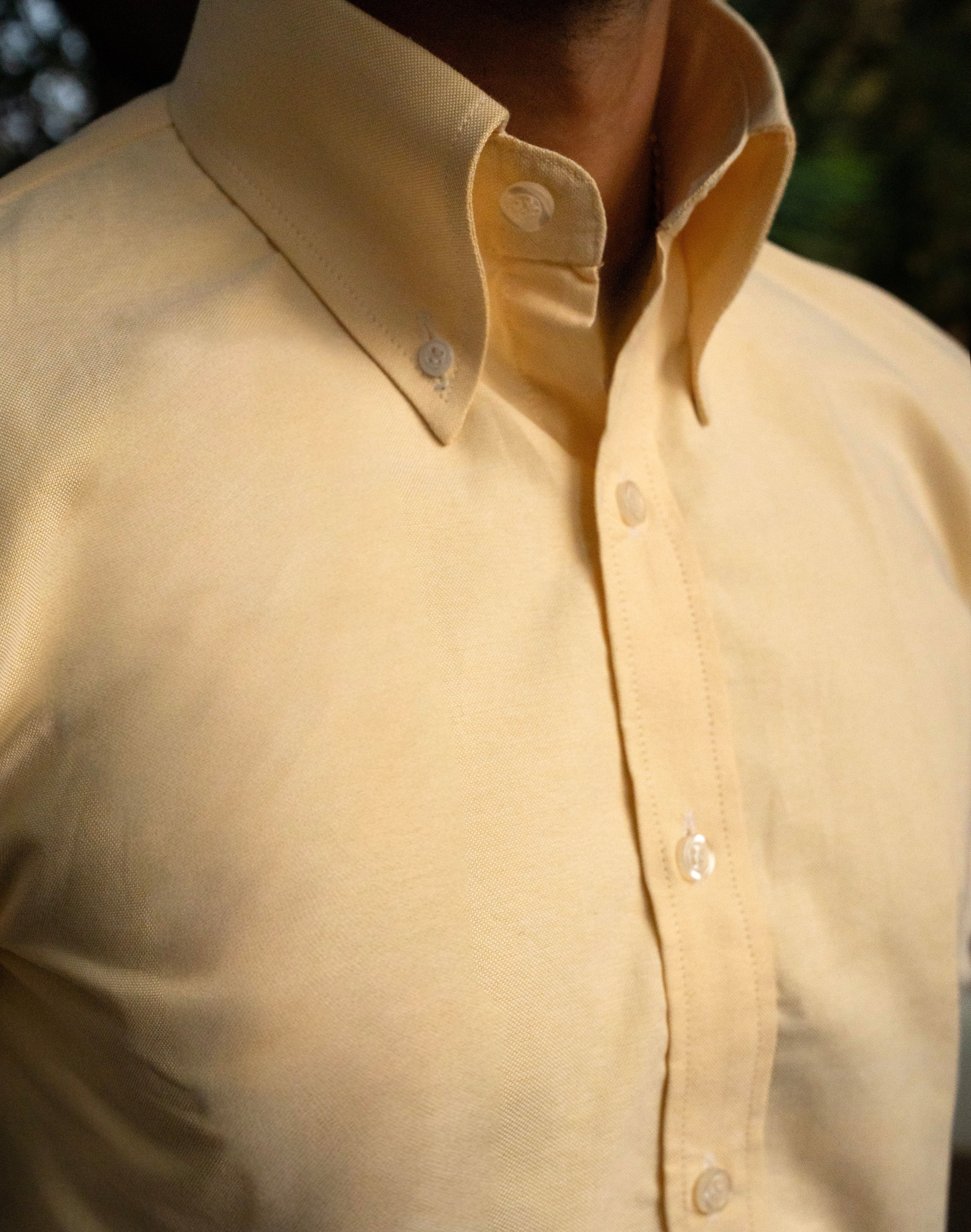 Golden Hour Button down Oxford Shirt