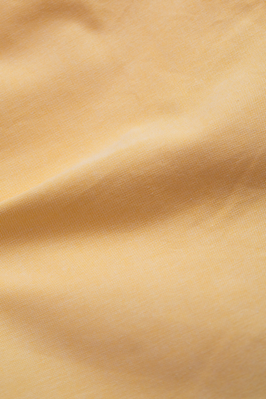 Golden Hour Button down Oxford Shirts